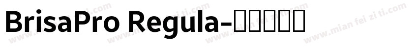BrisaPro Regula字体转换